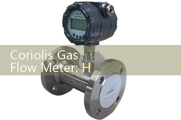 Coriolis Gas Flow Meter: High-Pressure Vapor Mass Measurement Devices